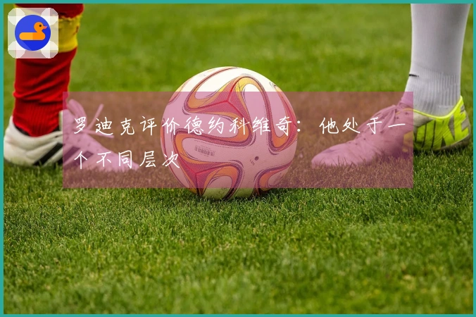 罗迪克评价德约科维奇：他处于一个不同层次