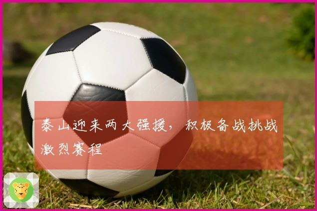 泰山迎来两大强援，积极备战挑战激烈赛程
