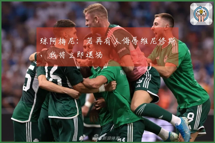 琼阿梅尼：若再有人侮辱维尼修斯，我将立即退场