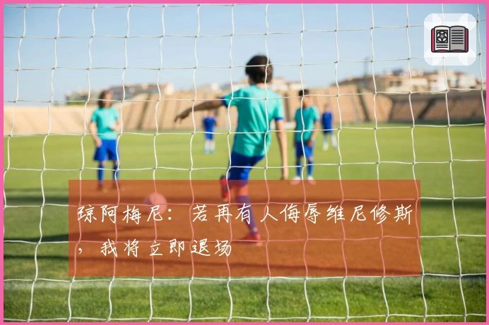 琼阿梅尼：若再有人侮辱维尼修斯，我将立即退场